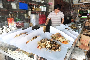 中草药在泰国受欢迎 曼谷中药店生意红火