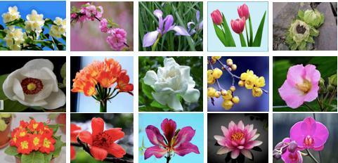 天安门广场国庆花坛7.jpeg 天安门广场国庆花坛7.jpeg