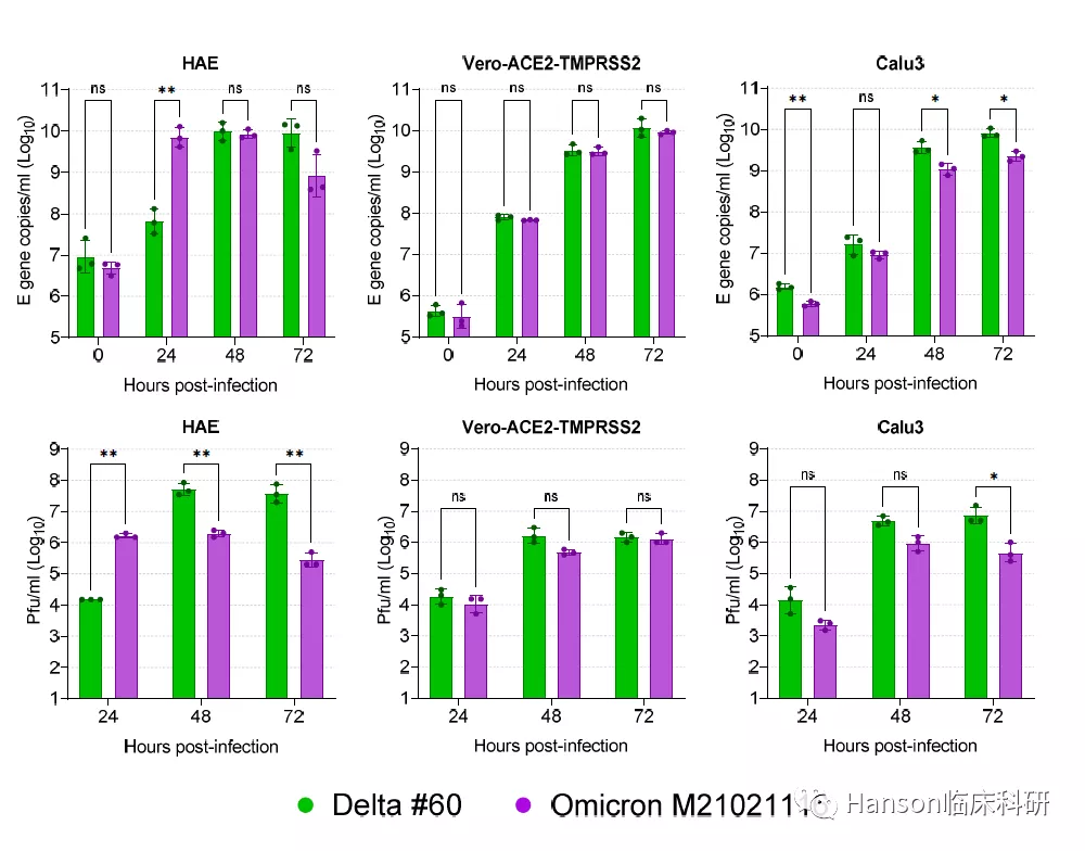 Omicron除了易感人ACE2受体细胞