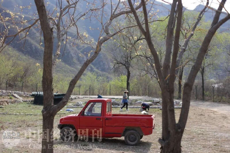 城里人涌向京郊民宿 1晚8500元的院子被抢空 城里人涌向京郊民宿 1晚8500元的院子被抢空