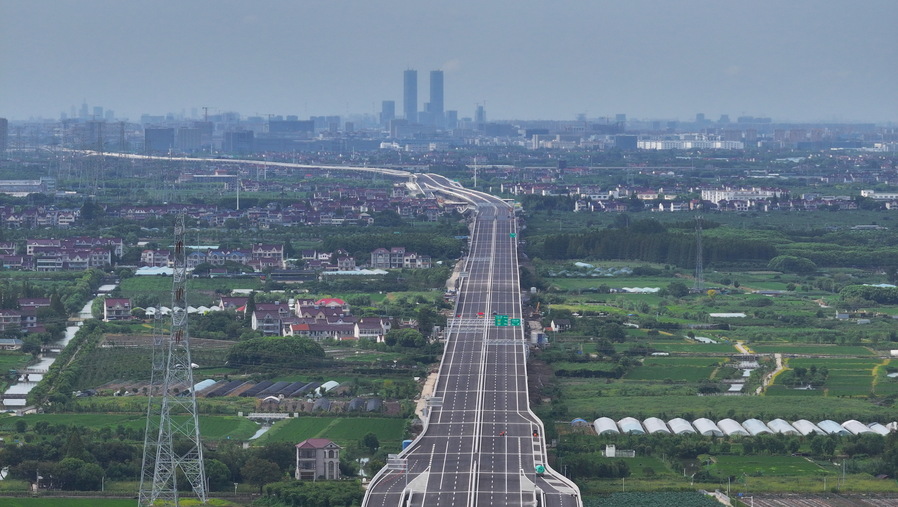 港新片区 港新片区