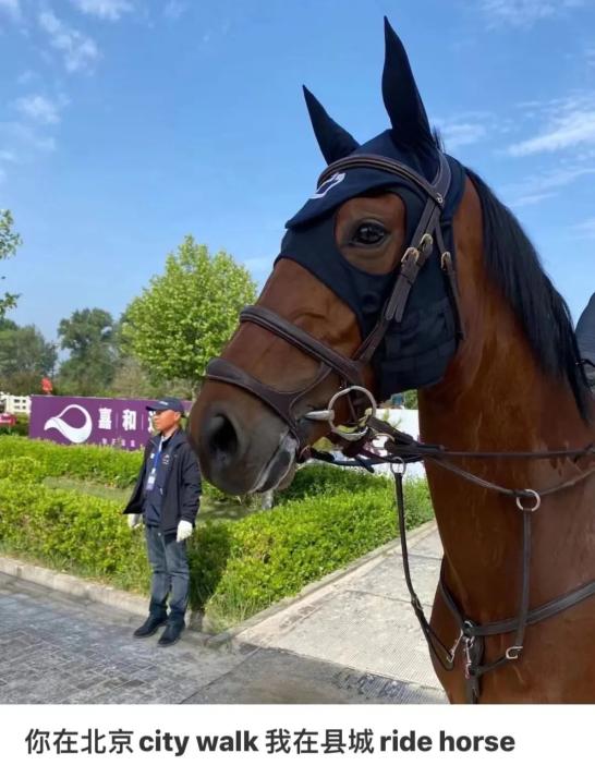 县城旅游 县城旅游